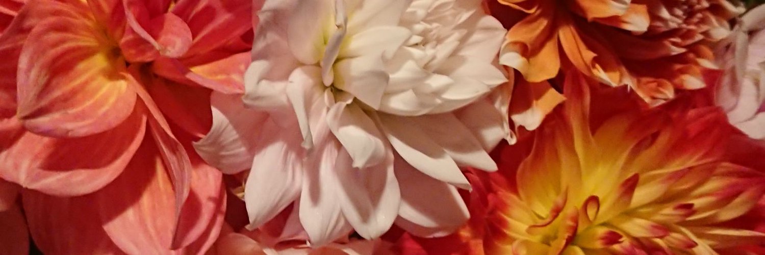 GizumoSyu's profile banner image