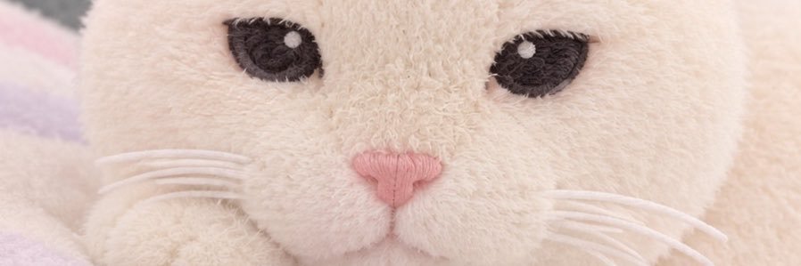 ColitasFelicesT's profile banner image
