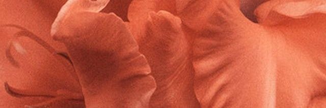 29Danielas's profile banner image
