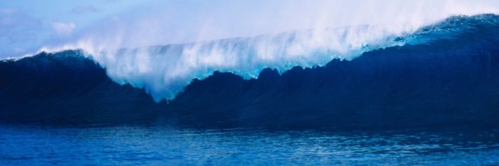 curvaceousllc's profile banner image