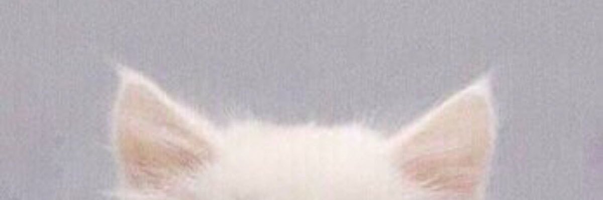 コ☾ ໋꙳ banner