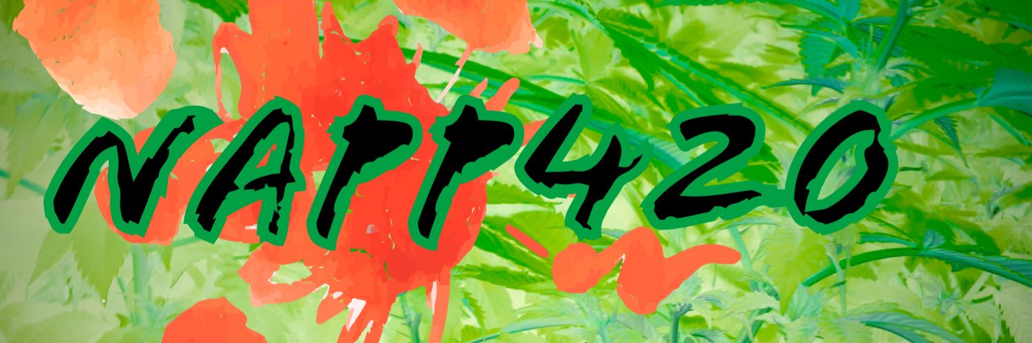 NappyKcg's profile banner image