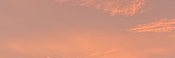 wsjack Profile Banner