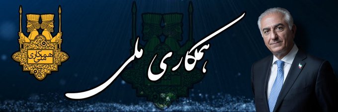 Negli's banner