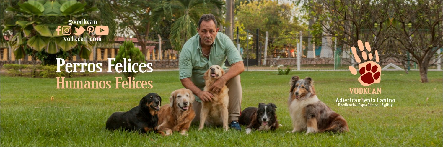 vodkcan's profile banner image