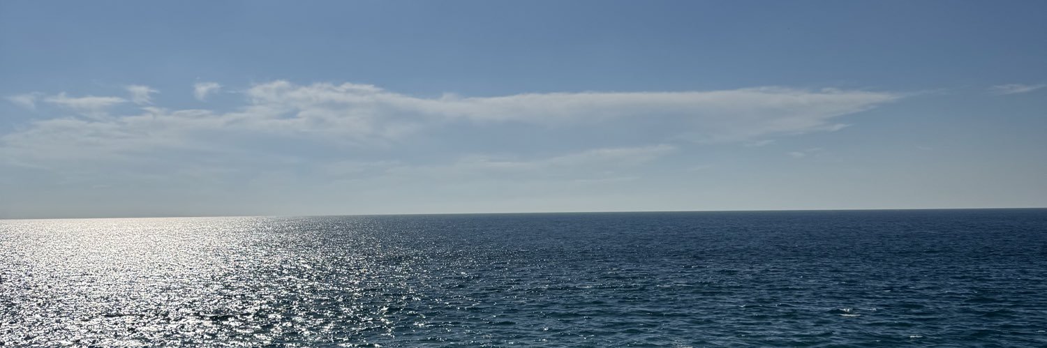 barb_mdz's profile banner image