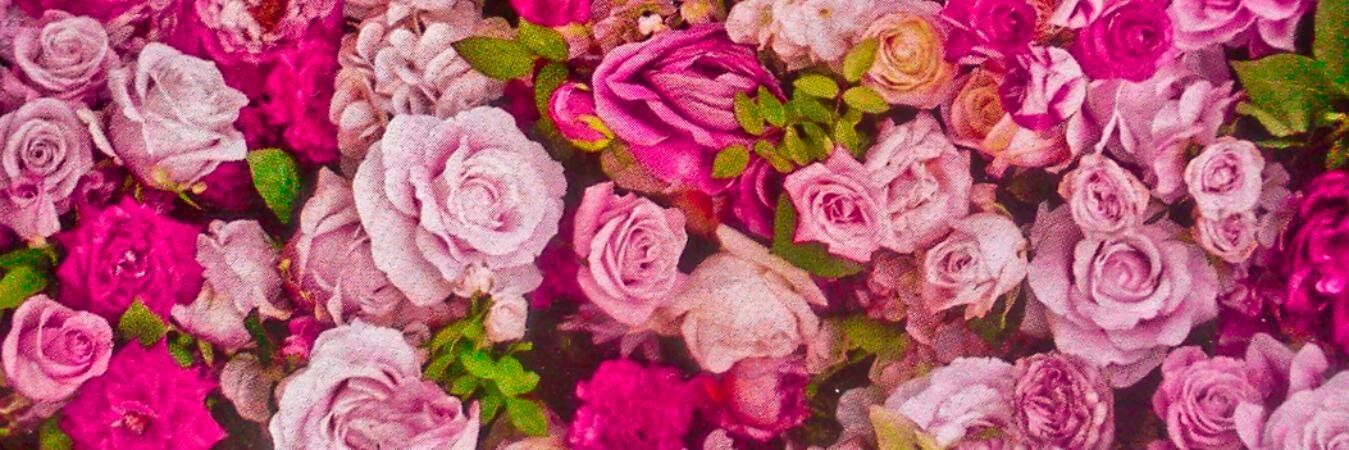 fictilia's profile banner image