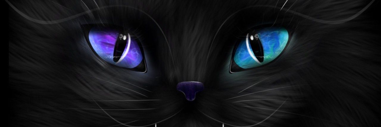 Little Evil Cat 🇺🇦🐈‍⬛ banner