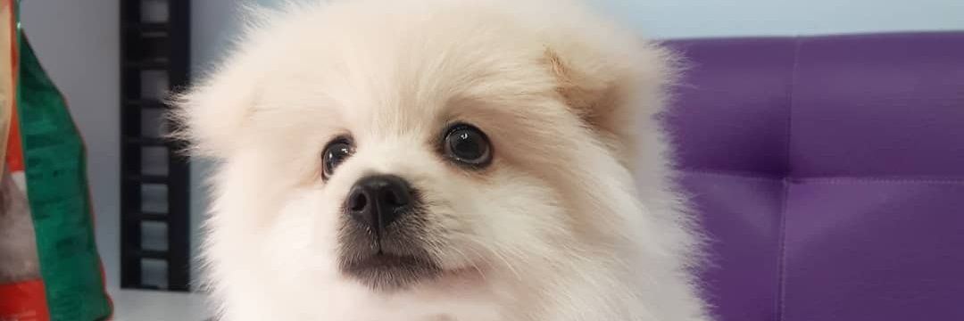 KepnerEscobar's profile banner image