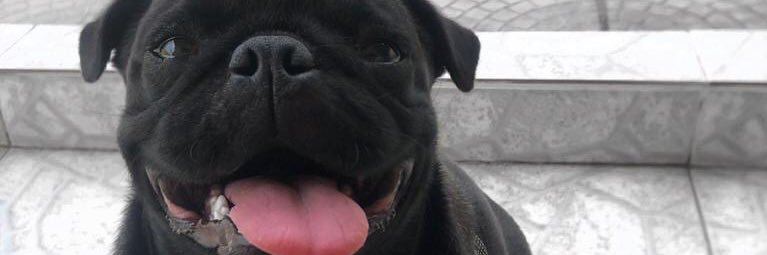 dgdbc_'s profile banner image
