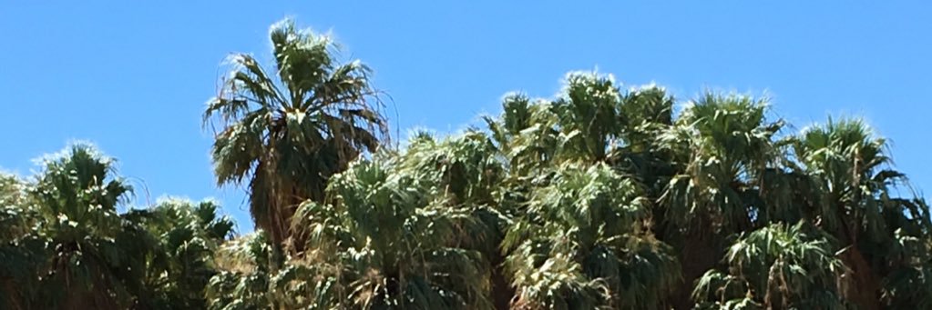 deen_tim's profile banner image