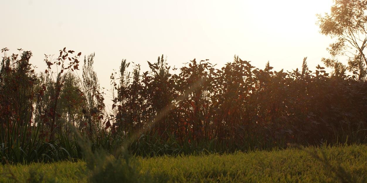 liukebin's profile banner image