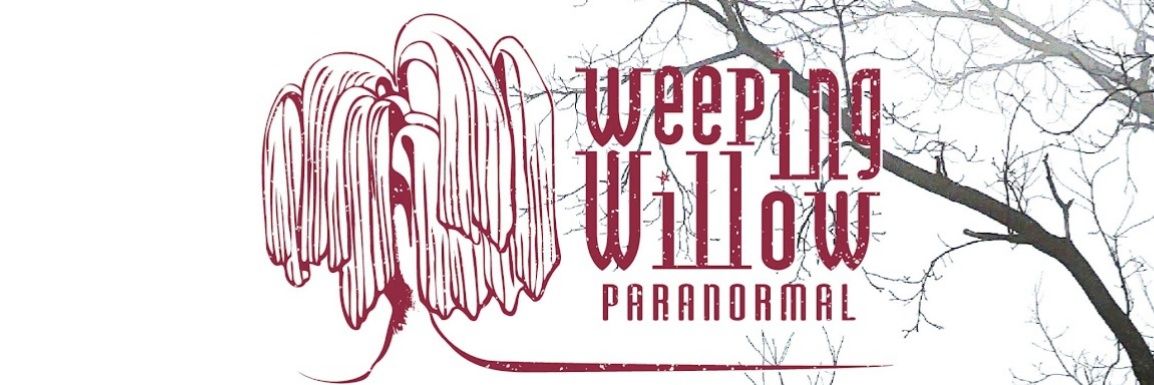 WeepingWillowP's profile banner image