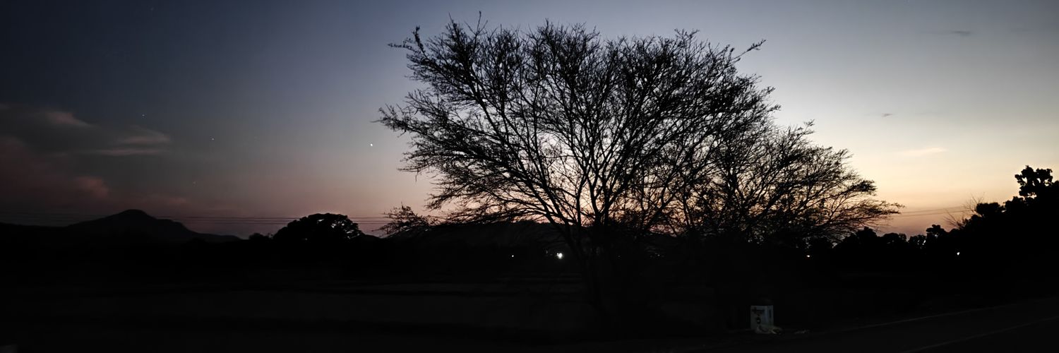 Tr♐️ggered Radiologist ⚛️ banner