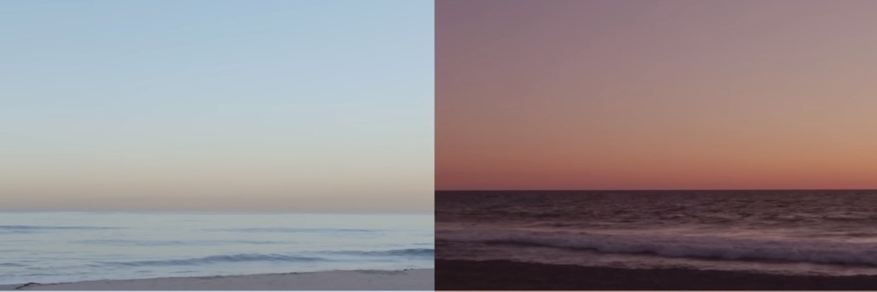 🫒🐈‍⬛ banner