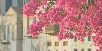 CMH__1209's profile banner image