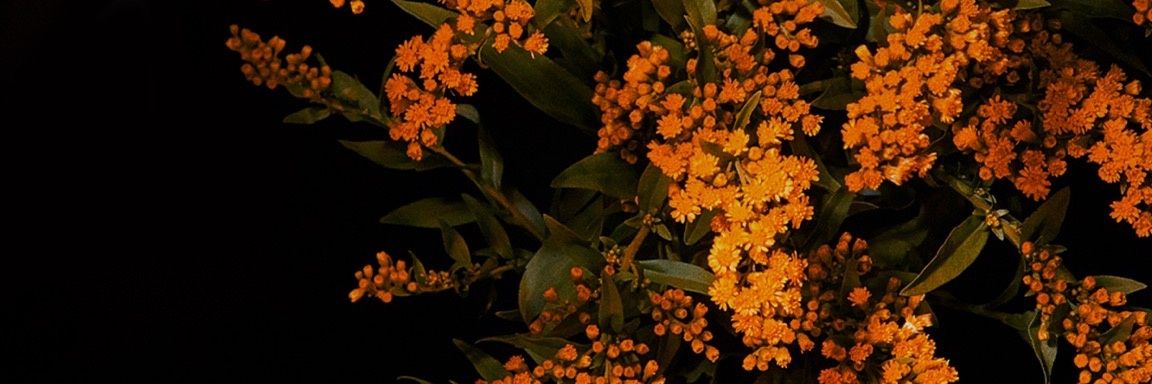 MatiMorabito's profile banner image