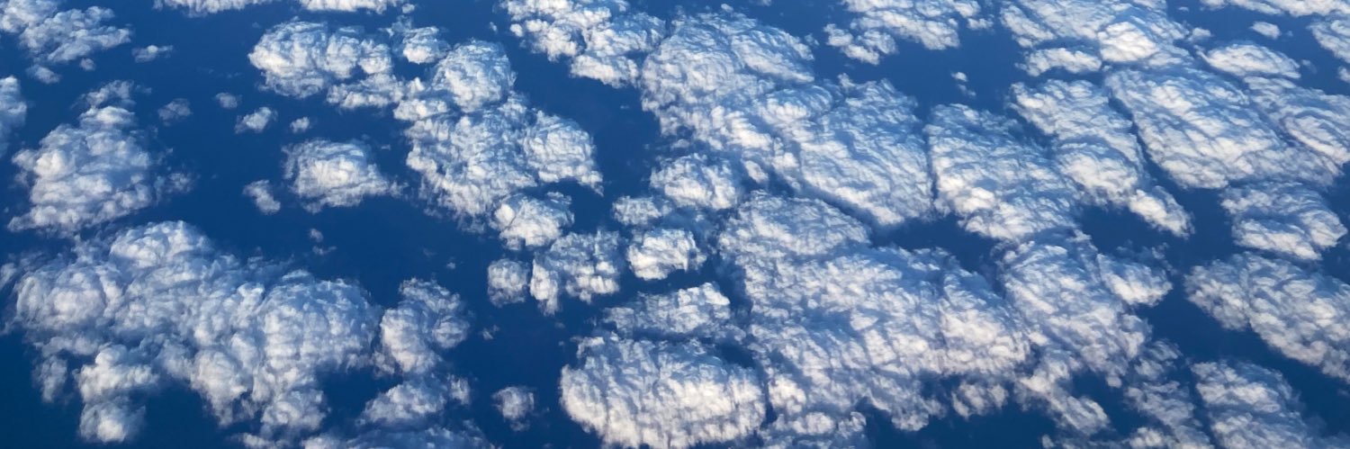 Ricardo Griffin banner