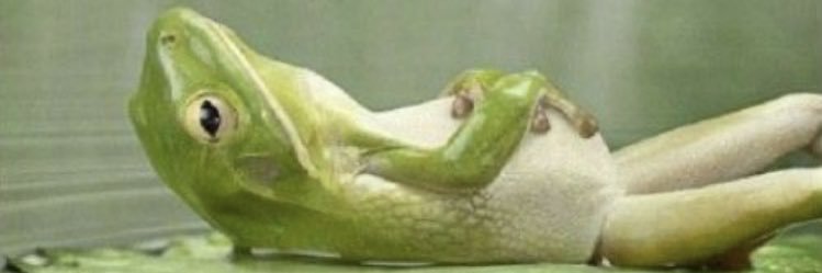 amamaiia's profile banner image