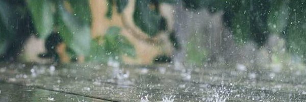 hazeleyeddancer Profile Banner