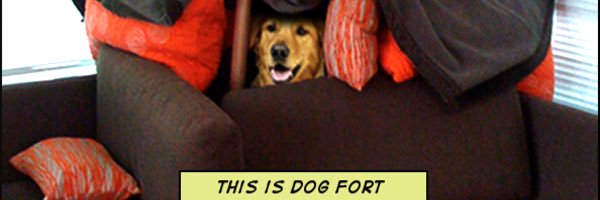 samiewich's profile banner image