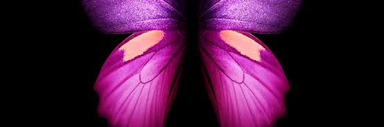 Sindy21201's profile banner image