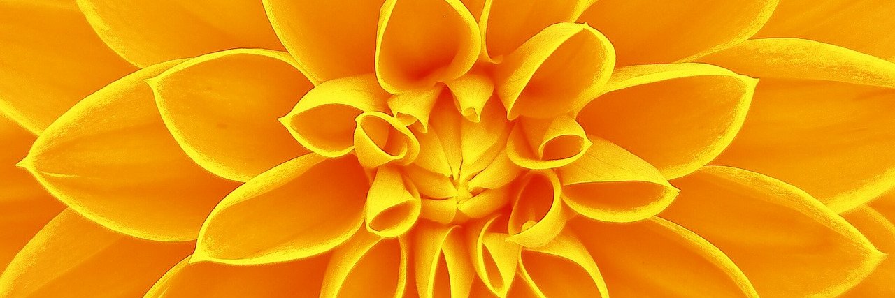 Deepika Arora banner