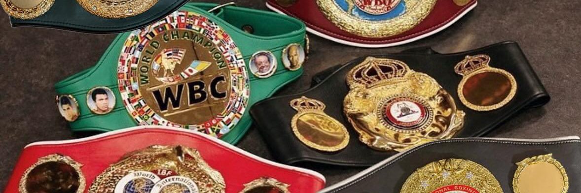 Н.Шинэбаяр ( boxing coach) banner