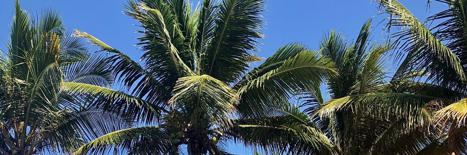 Luucaspg's profile banner image