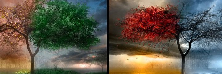 havaninnabzi's profile banner image