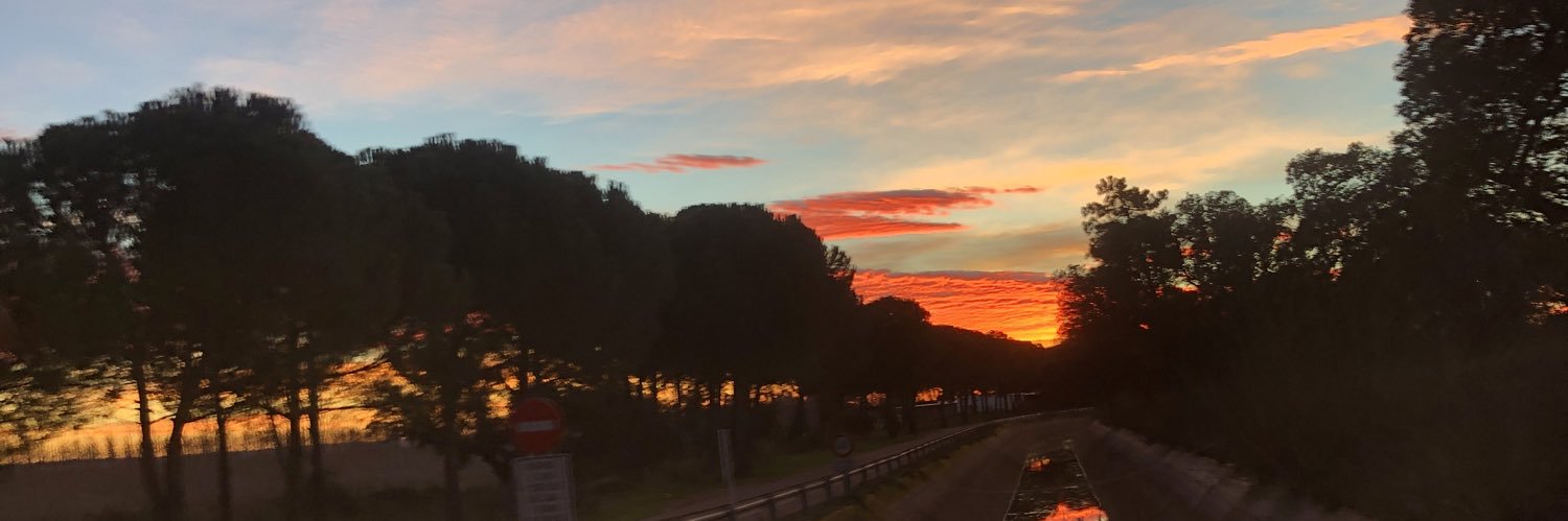 javiMB01's profile banner image