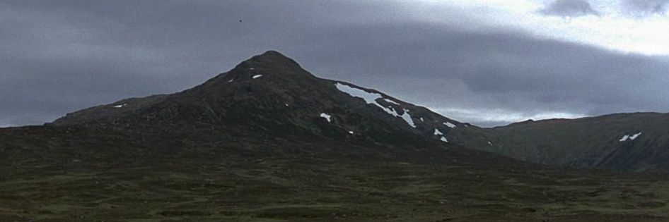 charmlessad's profile banner image