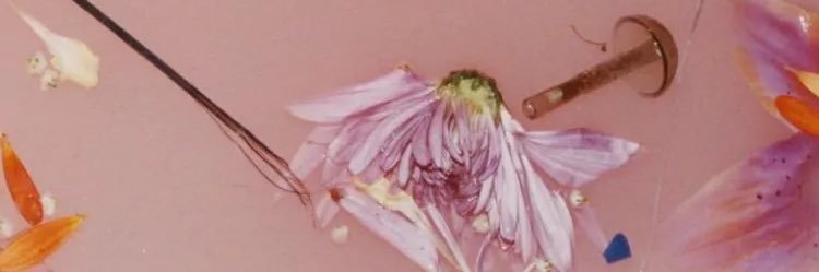 nezzquix's profile banner image