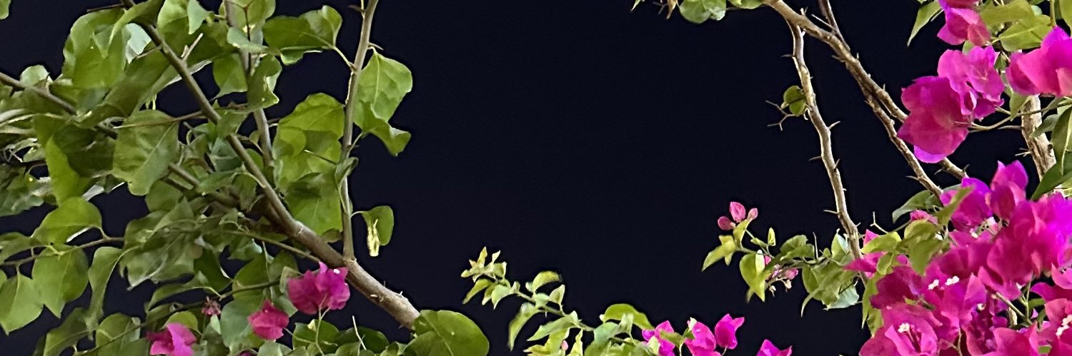 w_1999s's profile banner image