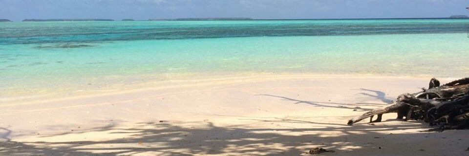 _amcb_'s profile banner image