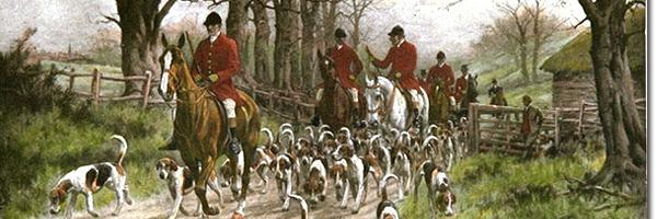 TheFoxyHunter's profile banner image