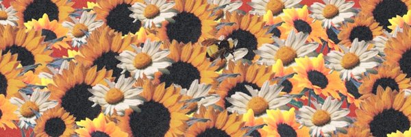 GenOverDraws Profile Banner