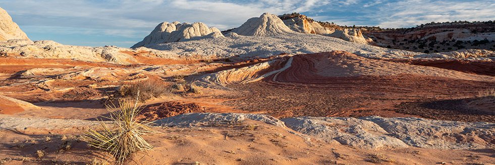 Saunders Clark banner