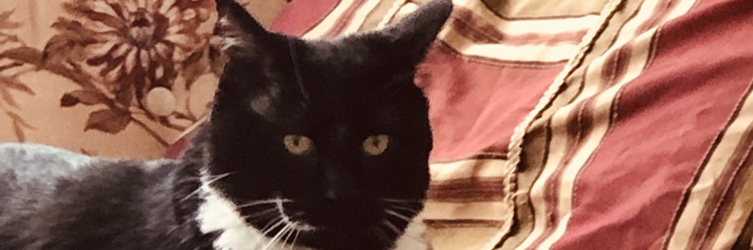 s_scarrott's profile banner image