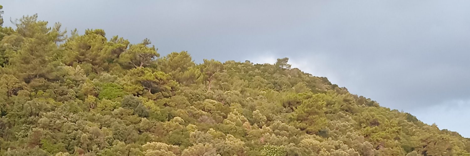 Tpolatt's profile banner image