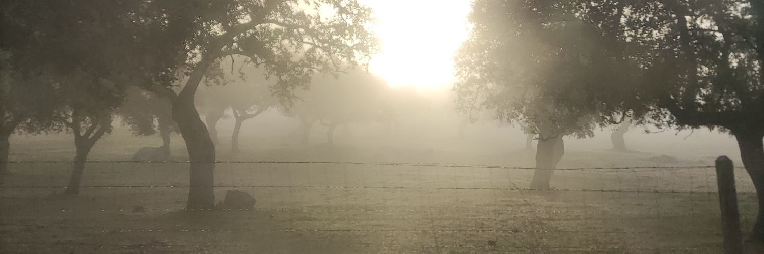 LopezPachonAndr's profile banner image