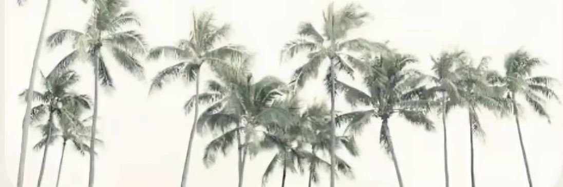 𝓢𝒂𝒓𝒂𝒉.ᐟ's banner