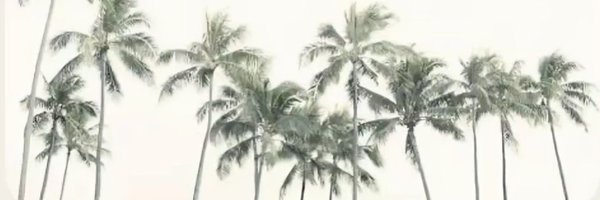 hqsqrr Profile Banner
