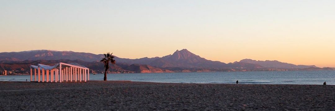 María Marchan banner