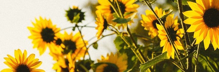 jaxiipoo's profile banner image
