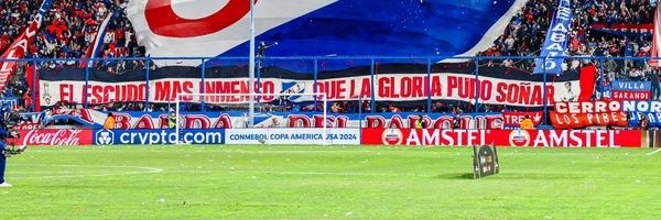 Gonza banner
