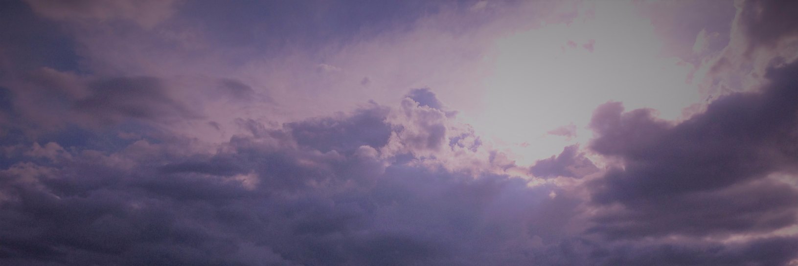 ariadnarosada's profile banner image