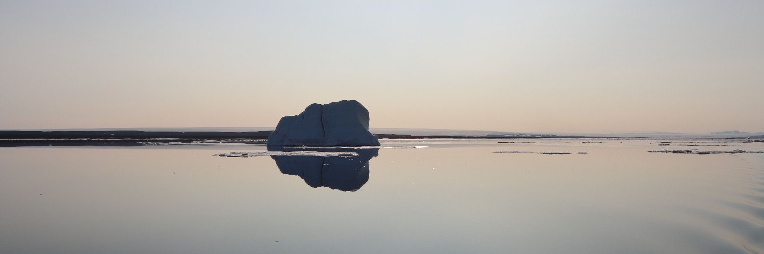 lasse Z. jensen banner