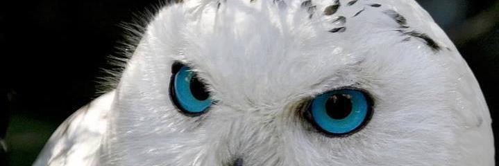 jglents's profile banner image