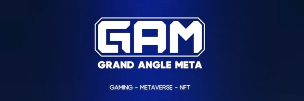 Grand Angle Meta Profile Banner